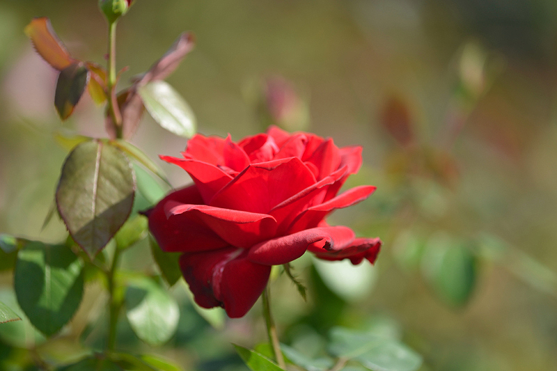 image0234