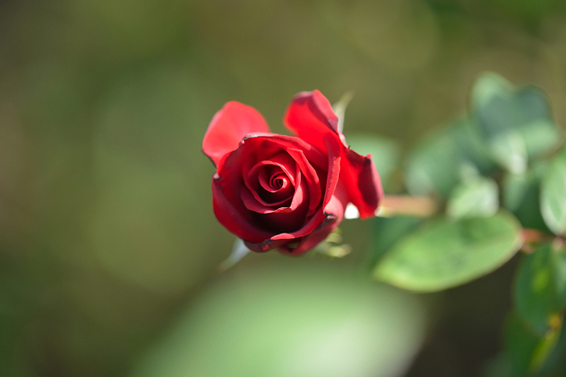 image0236