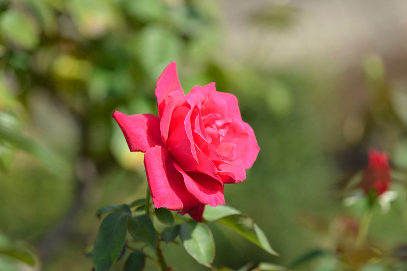 image0237