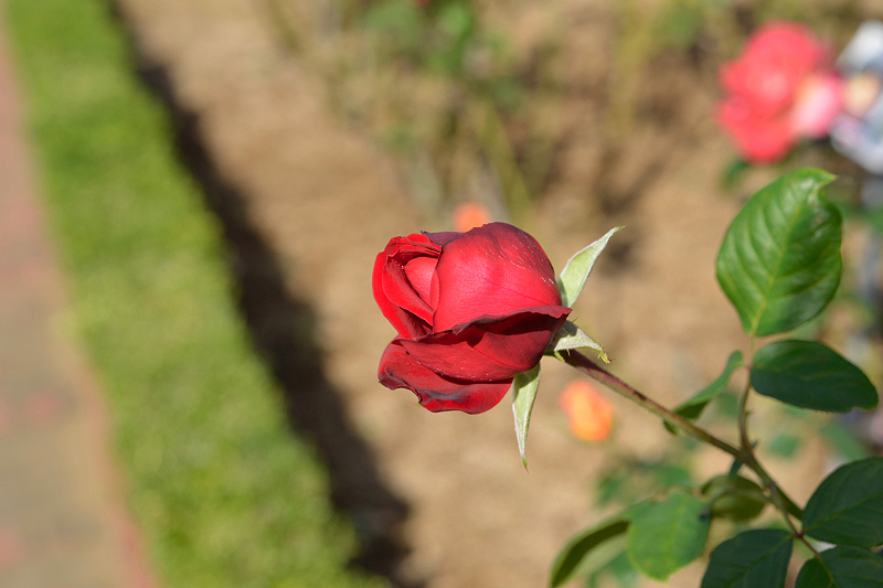 image0248