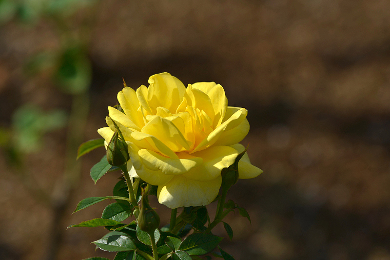 image0258