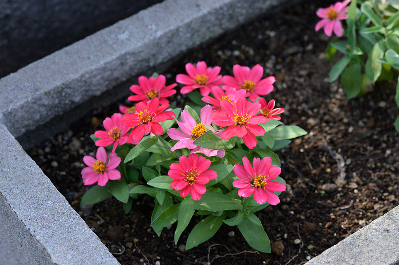 image0262