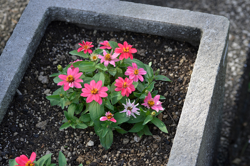 image0265