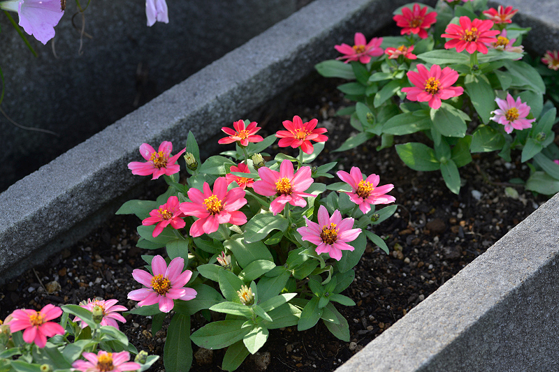 image0266