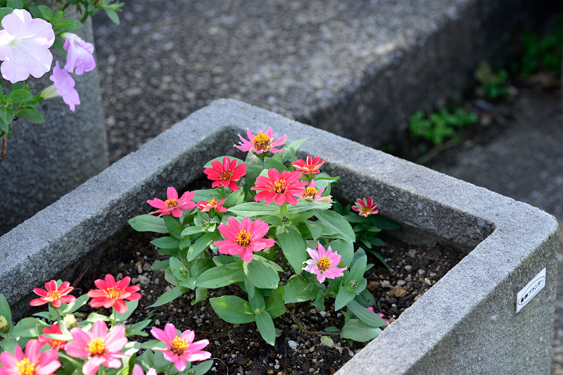 image0267