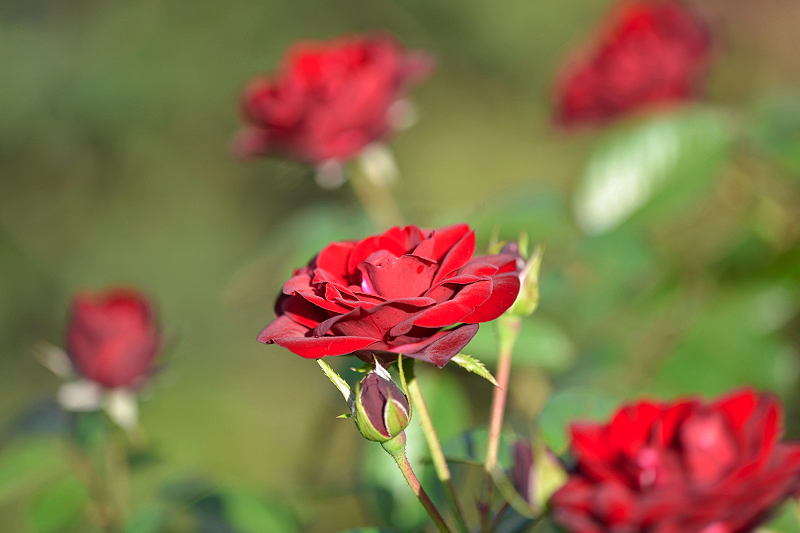 image0273