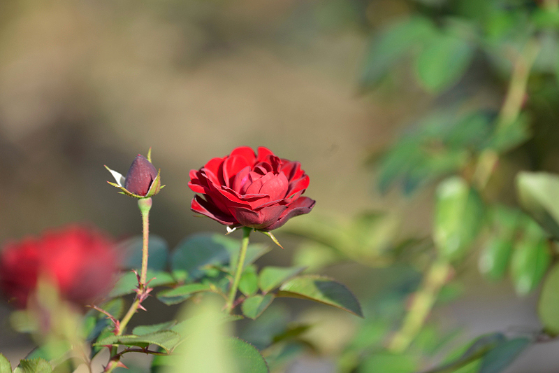 image0274