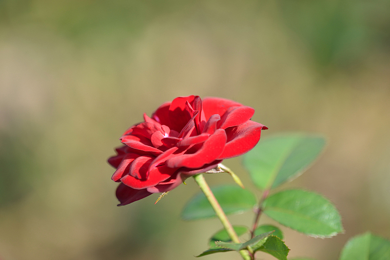 image0282