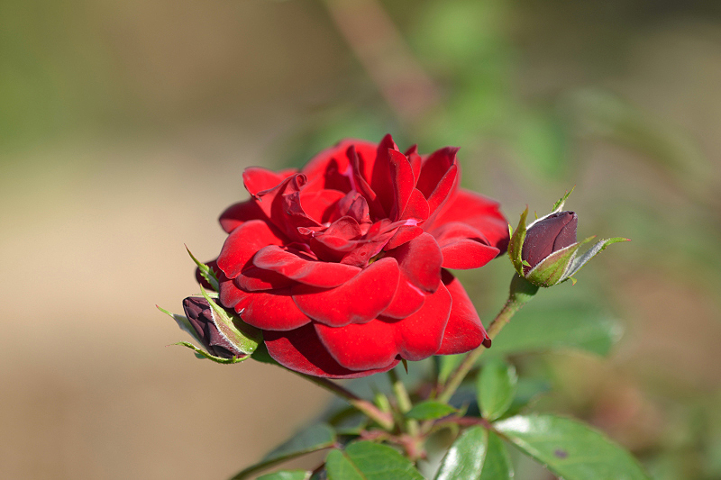 image0283