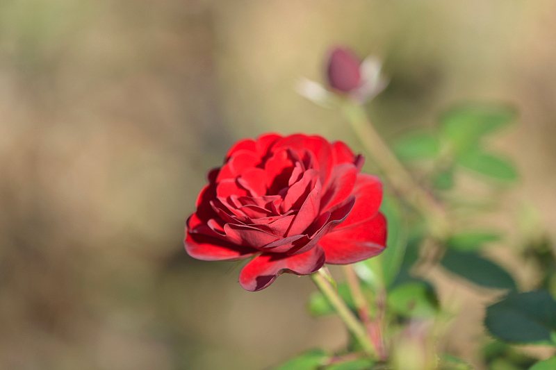 image0284