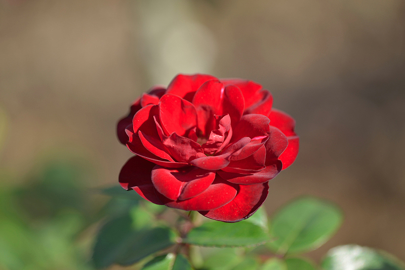 image0286