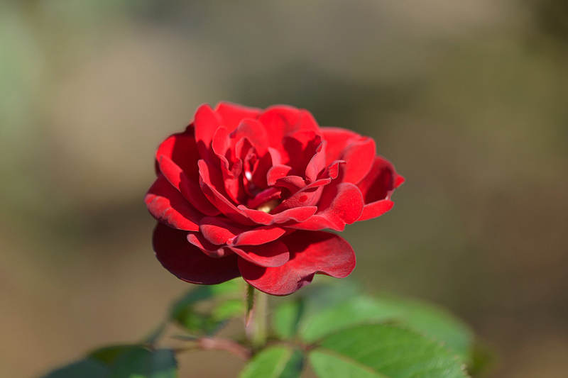 image0289