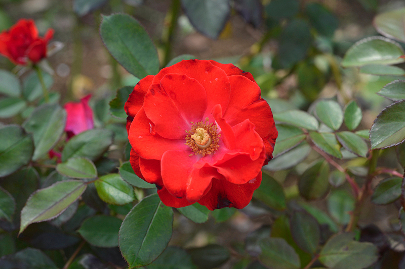 image0292
