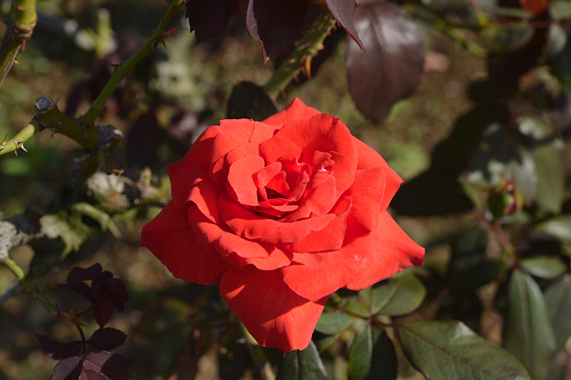 image0297