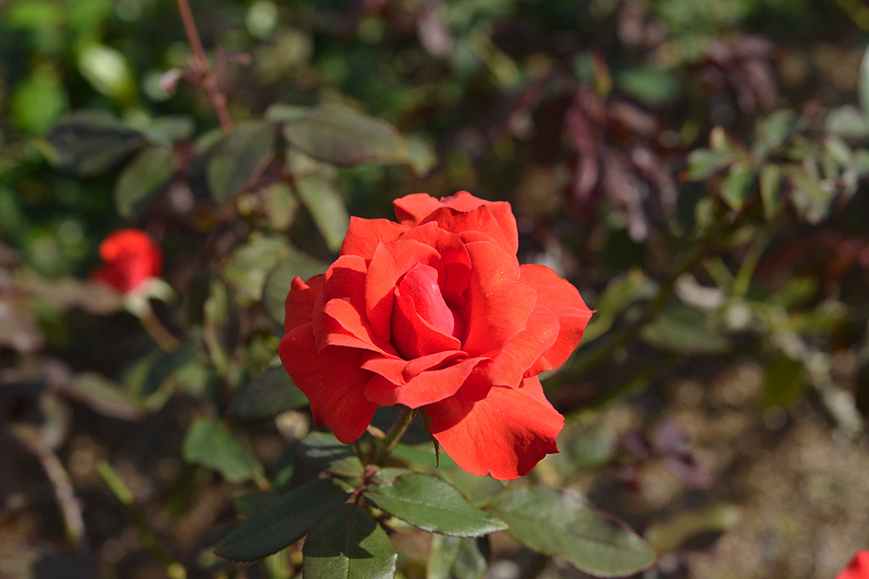 image0301