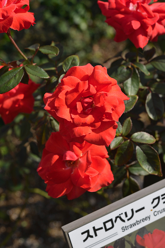 image0302