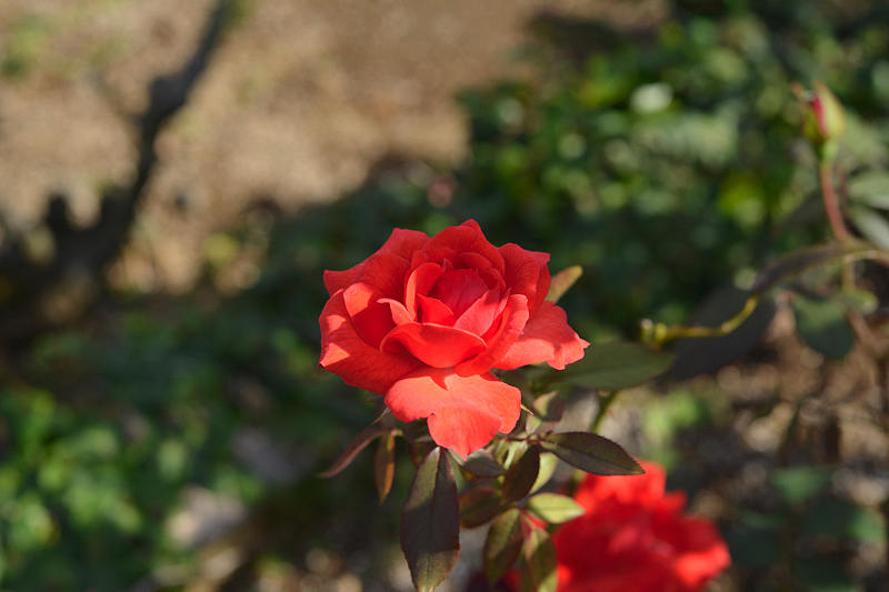 image0303