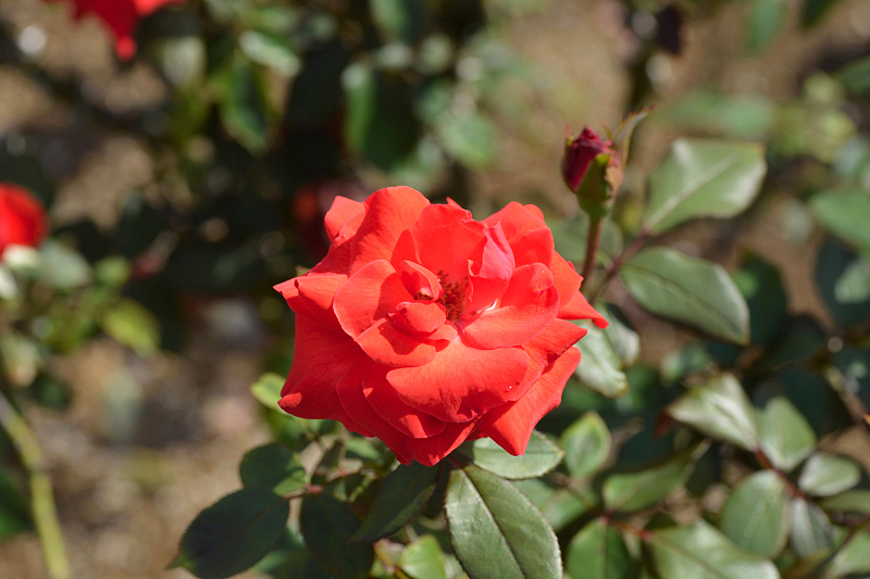 image0304