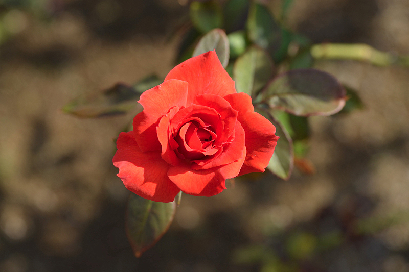 image0307