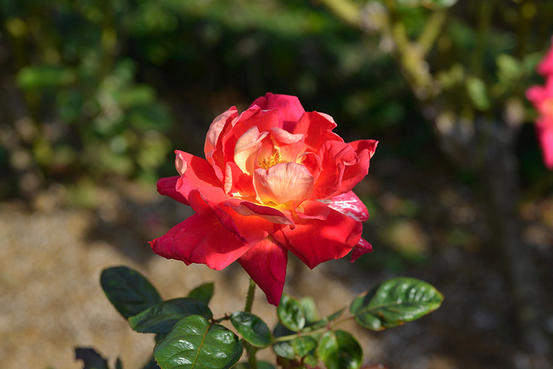 image0308