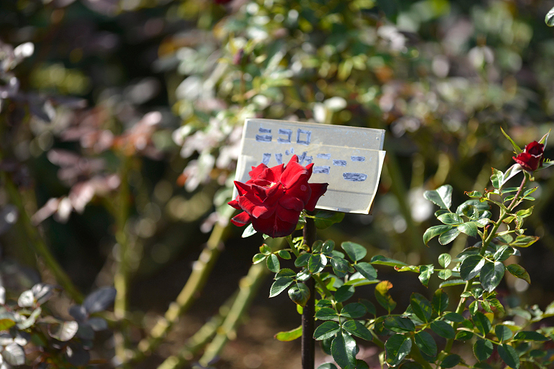 image0313