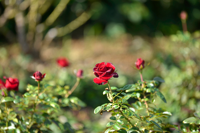 image0315