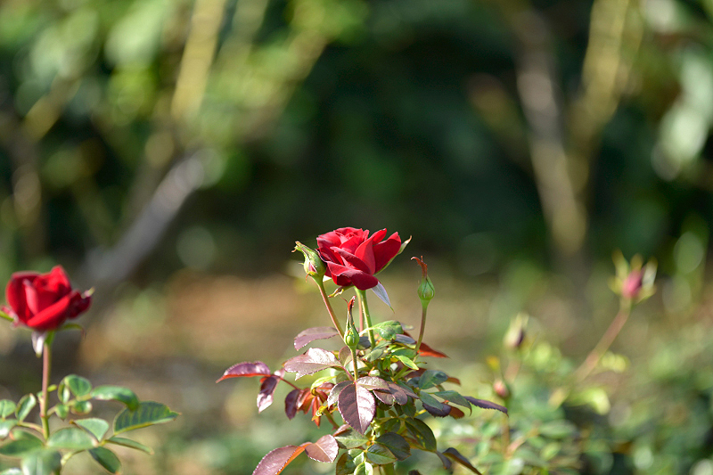 image0317
