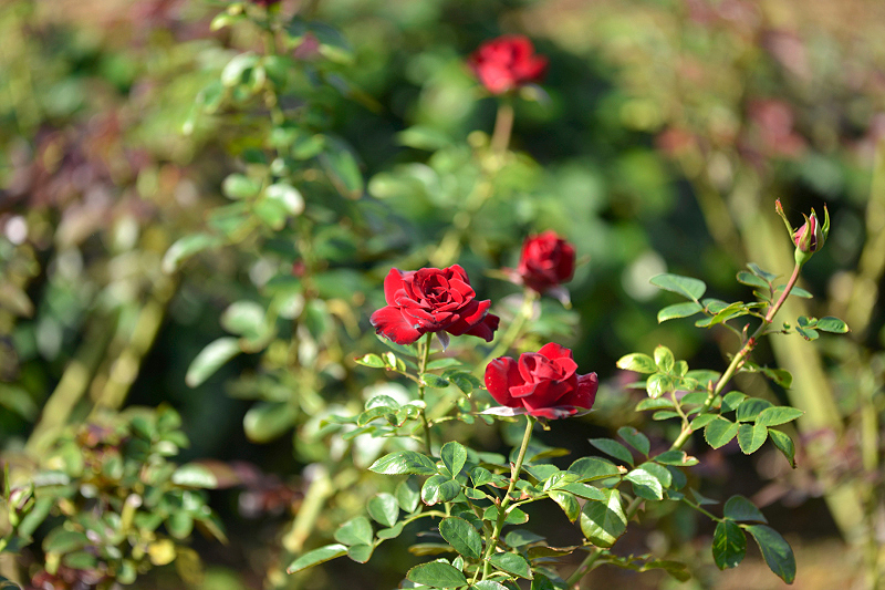 image0319