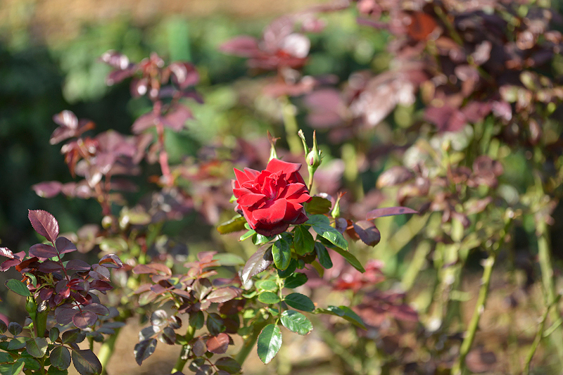 image0320