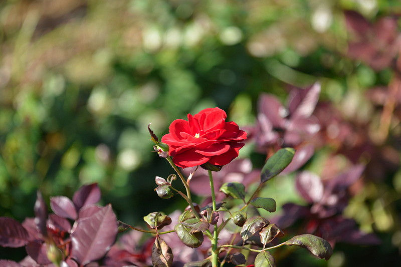 image0322
