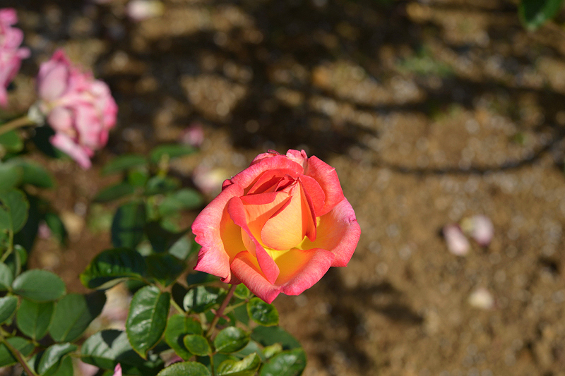 image0324