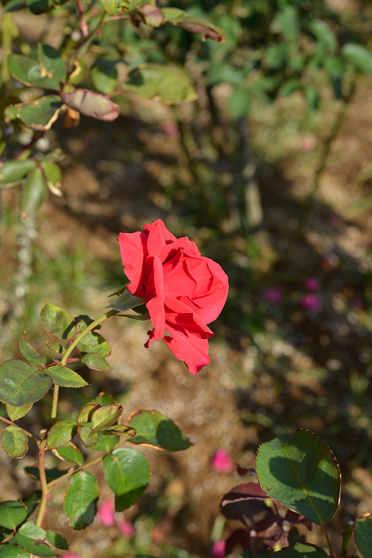 image0326