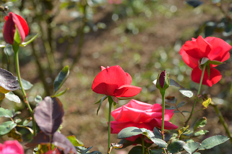 image0330