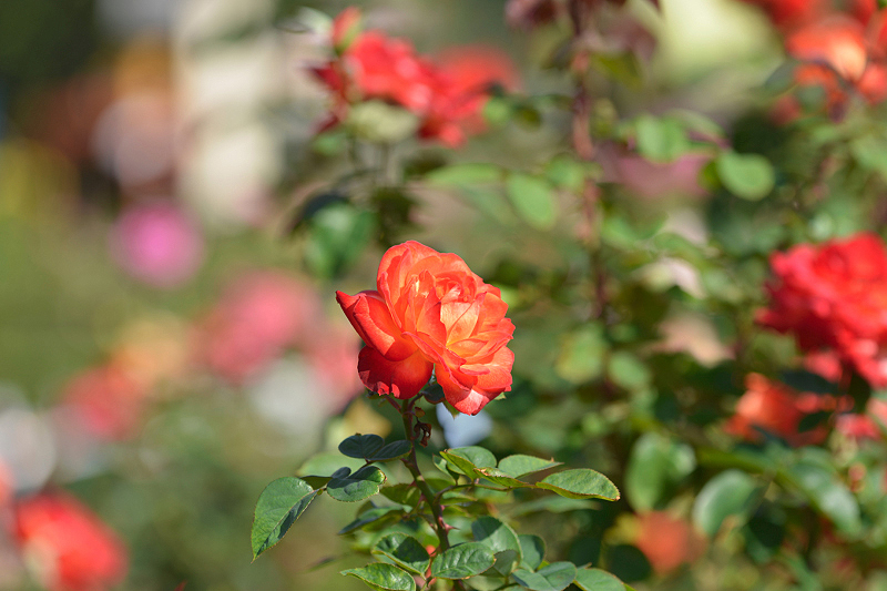 image0340