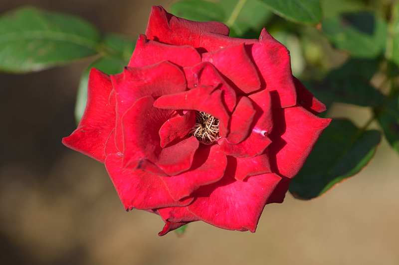 image0363