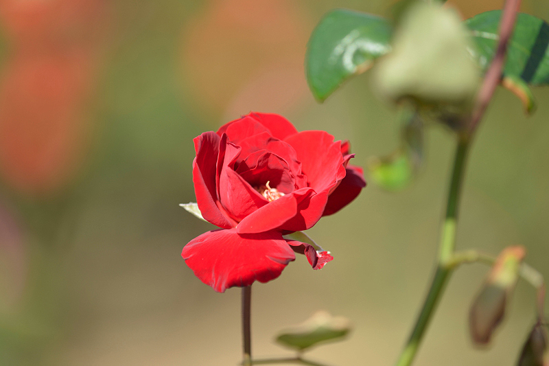 image0364
