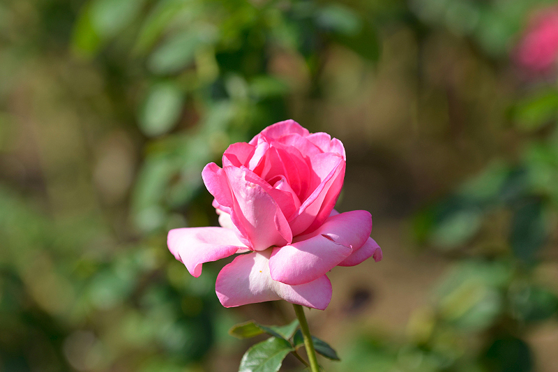 image0380