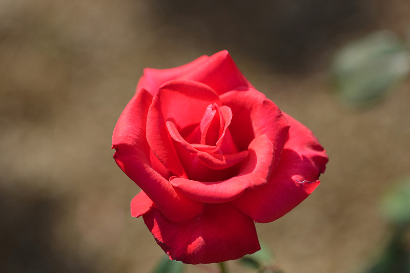 image0381