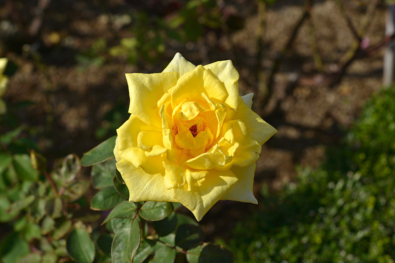 image0385