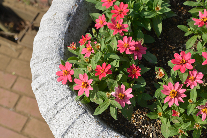 image0388