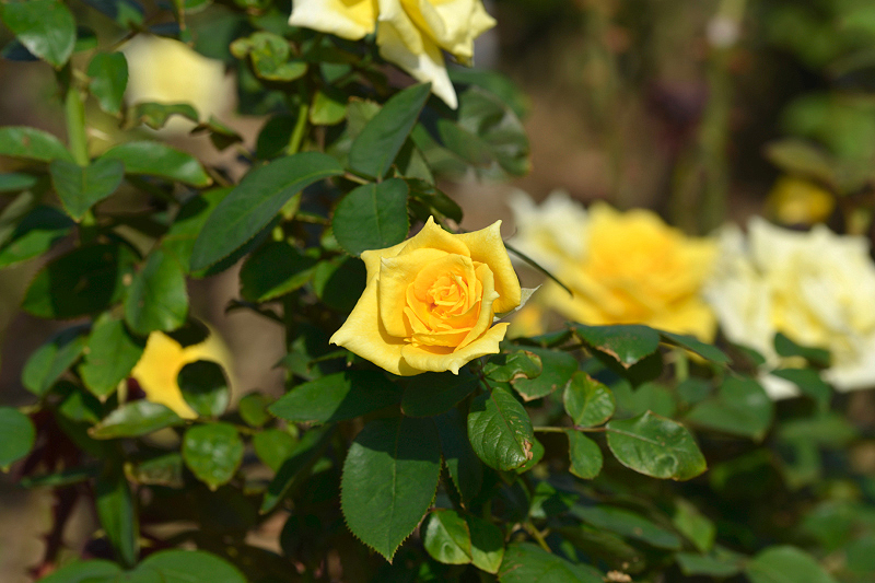 image0392