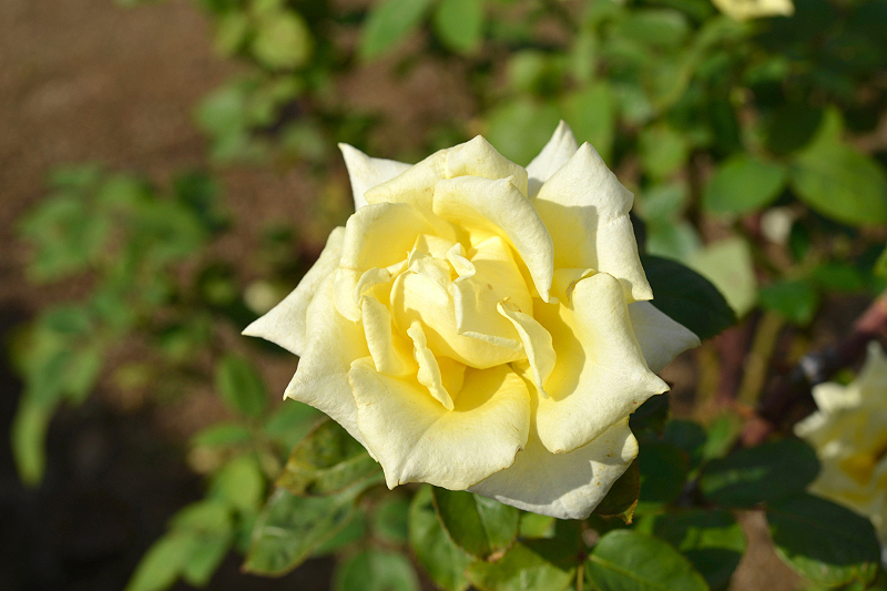 image0398