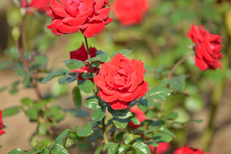 image0400