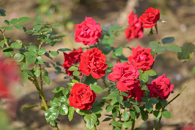 image0401