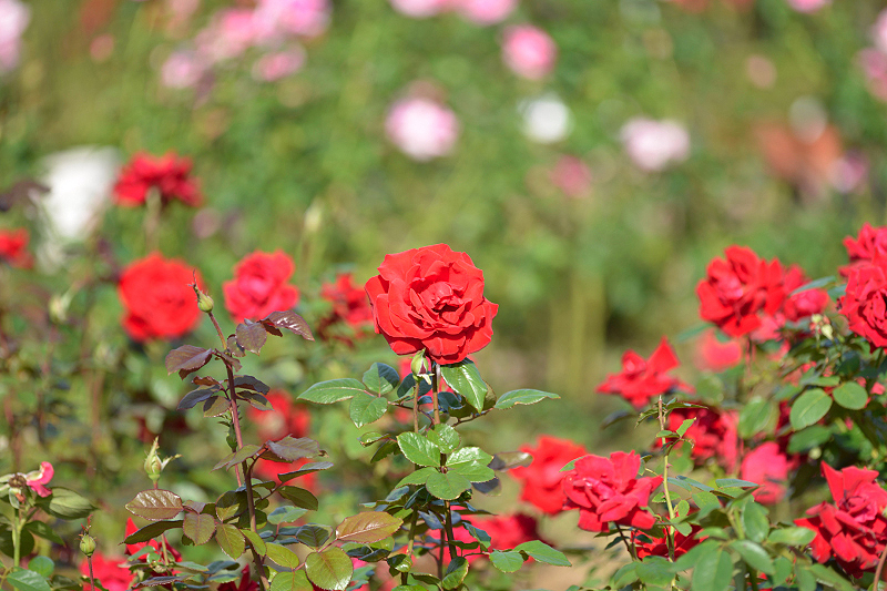 image0402