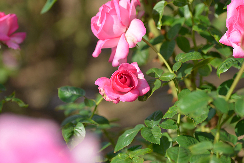 image0403