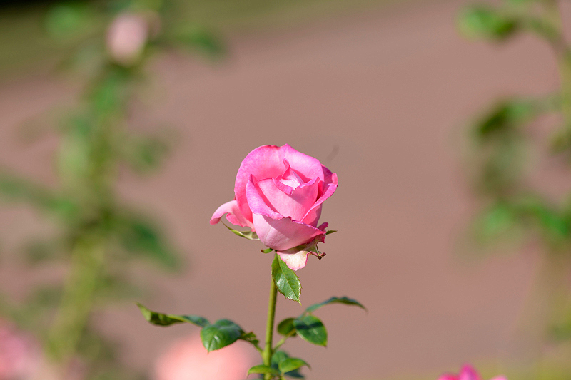 image0404