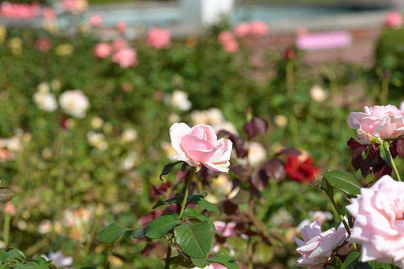 image0416