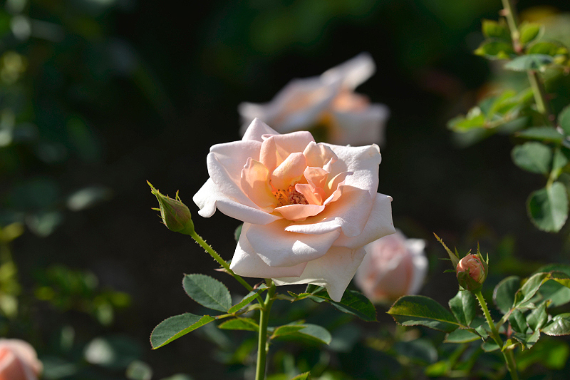 image0435