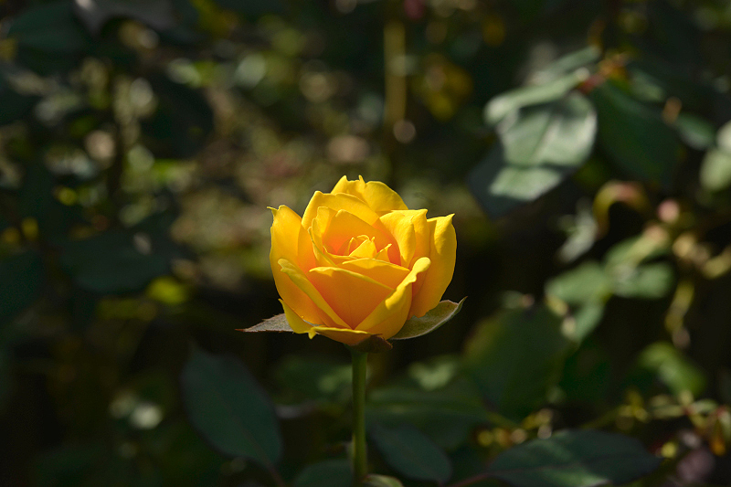 image0447